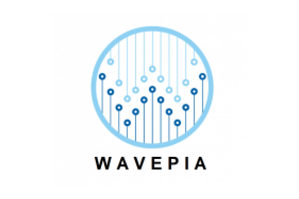 Новый СВЧ транзистор компании WavePia